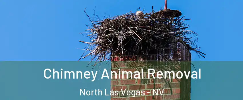 Chimney Animal Removal North Las Vegas - NV