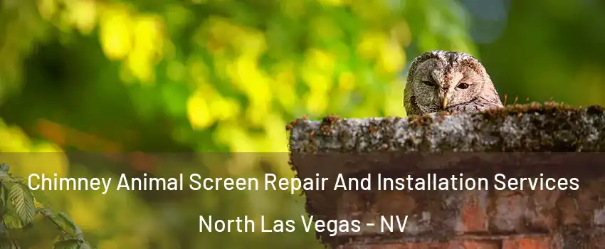 Chimney Animal Screen Repair And Installation Services North Las Vegas - NV