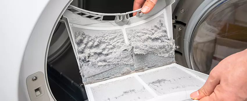 Best Dryer Lint Removal Company in North Las Vegas, Nevada