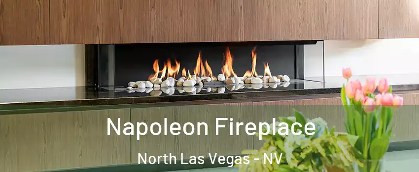 Napoleon Fireplace North Las Vegas - NV